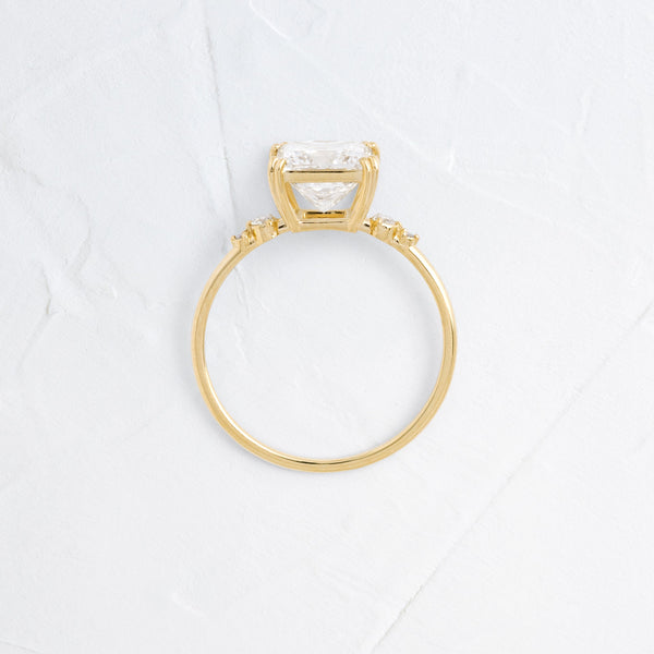 Double Prong & Four Stone-Princess Lab Grown Diamond Engagement Ring - Solitaire-Oval Lab Grown Diamond Engagement Ring