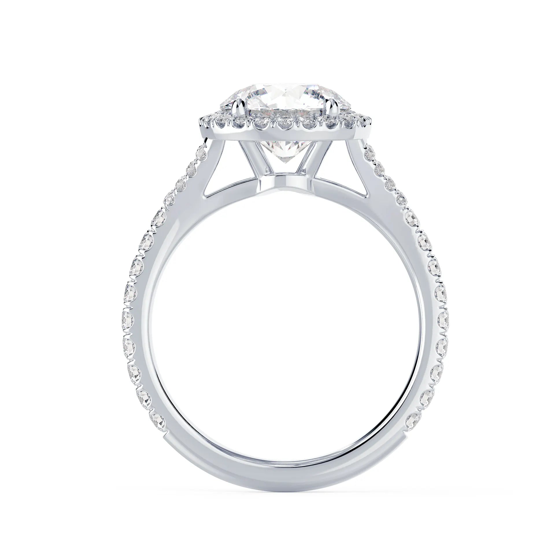 Single Halo Split Shank Setting