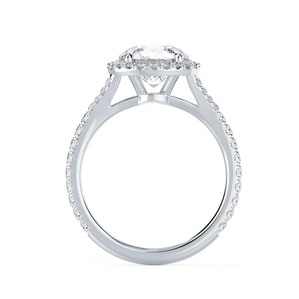 Single Halo Split Shank Setting - Single Halo Split Shank Setting