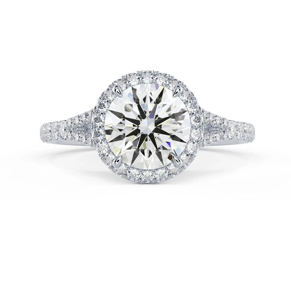 Single Halo Split Shank Setting - Single Halo Split Shank Setting