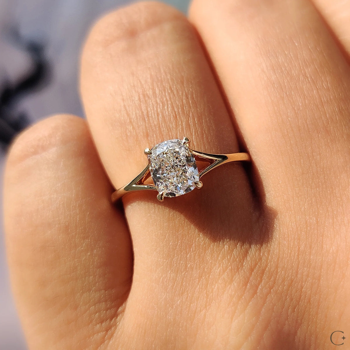 IMG 20231021 105324copy