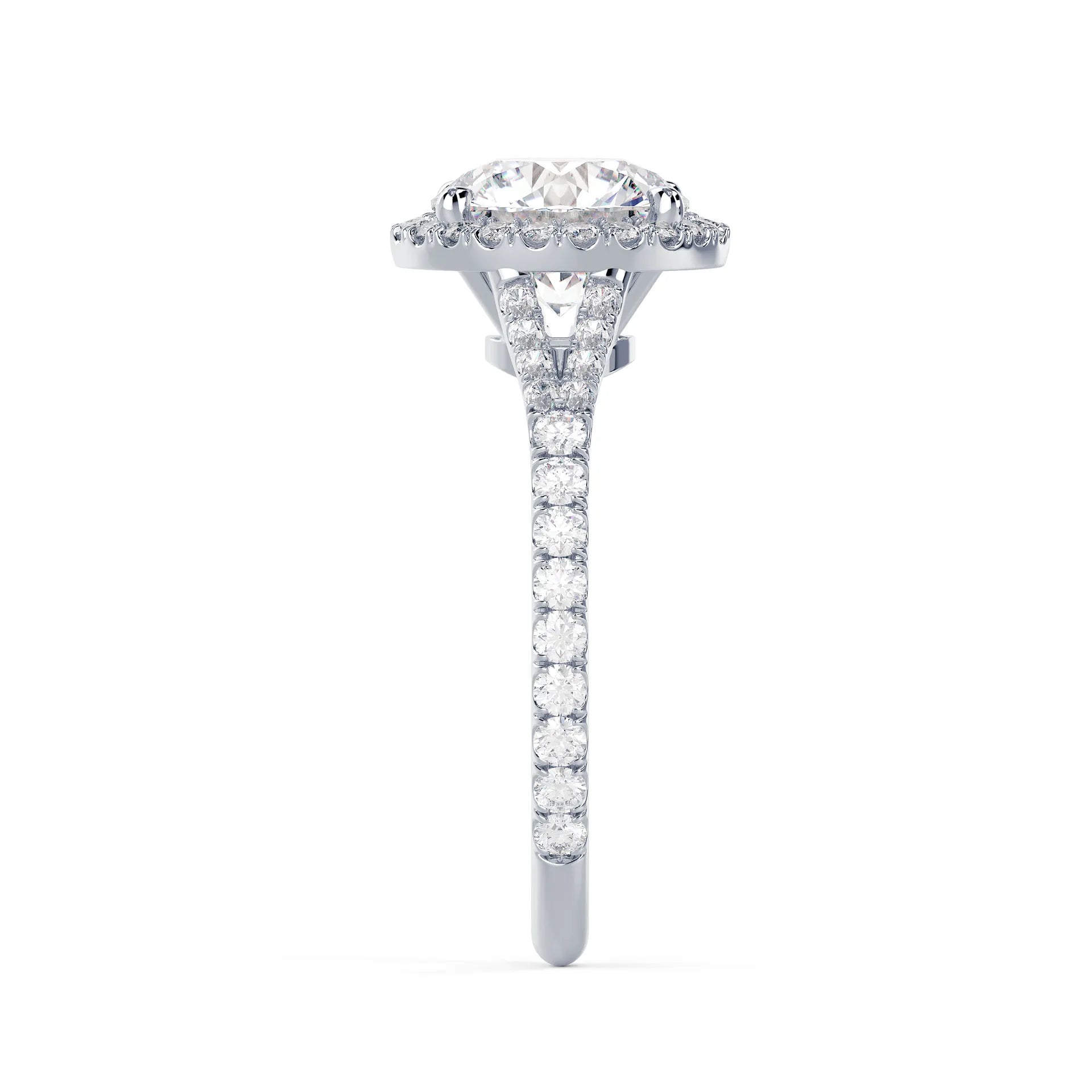 Single Halo Split Shank Setting