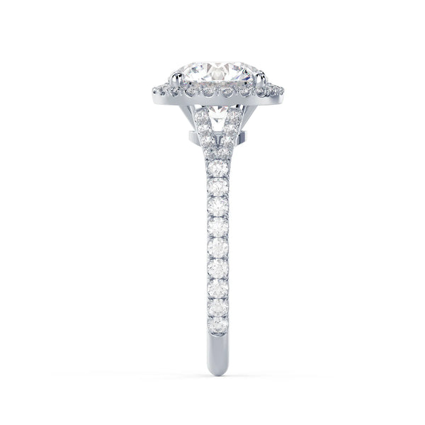 Single Halo Split Shank Setting - Single Halo Split Shank Setting