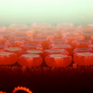 Chemical Vapor Deposition